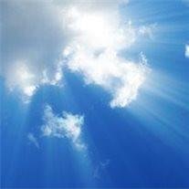 Terry Lee Nicholes - Photo 2